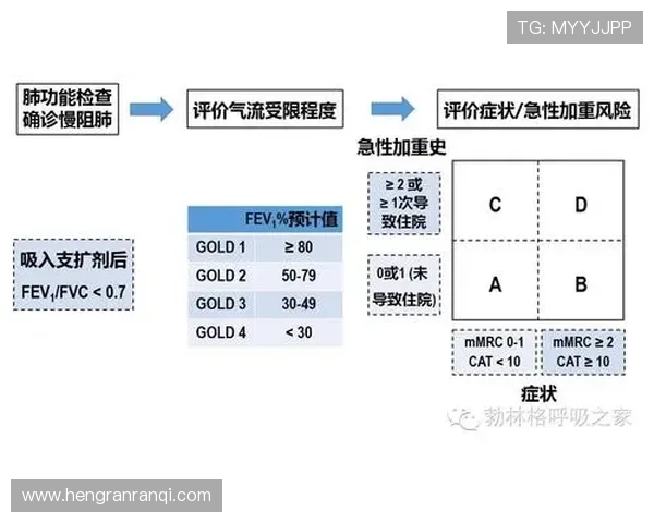 杭州排球队总决赛战术分析与表现评估全面解读 杭州排球队总决赛战术分析与表现评估全面解读