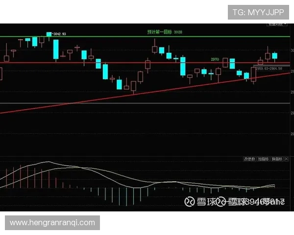 武汉篮球队防守策略分析及其对比赛结果的影响探讨
